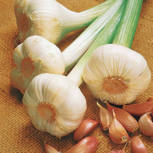 Ail rose flavor - Bakker