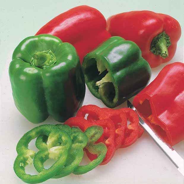 Capsicum annuum - Piment annuel