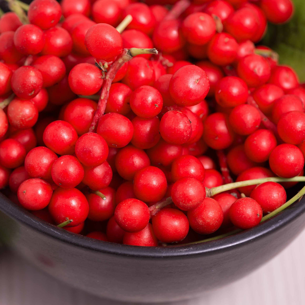Fruit de la vitalité - Schisandra chinensis - Bakker