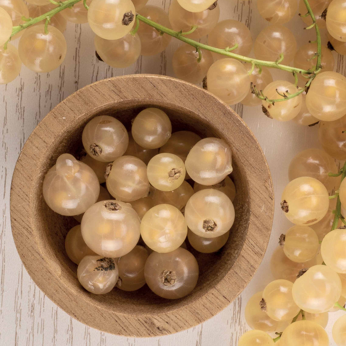 Groseillier White Pearl - Ribes rubrum white pearl - Bakker