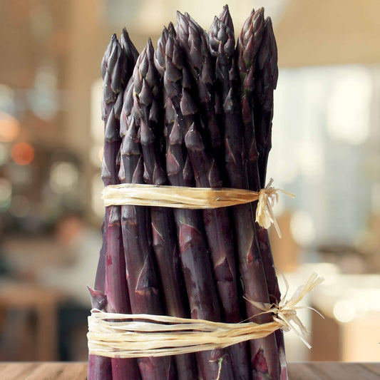 Asperge rouges Rosalie - Bakker
