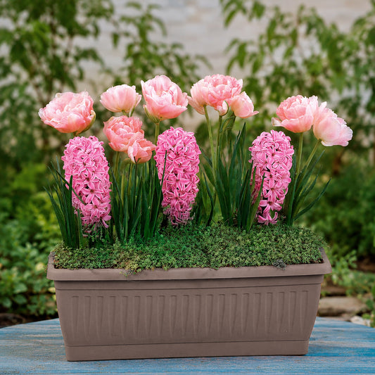 Bulbes à floraison printanière en mélange - Bakker