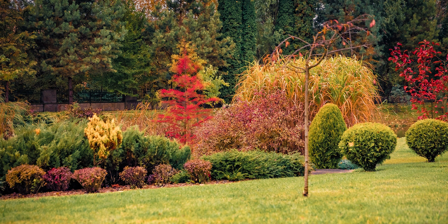 Jusqu'à -30% sur les couleurs d'automne !