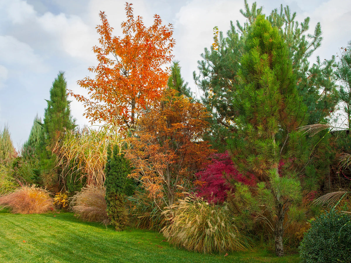 Couleurs d’automne : jusqu’à 30% de remise