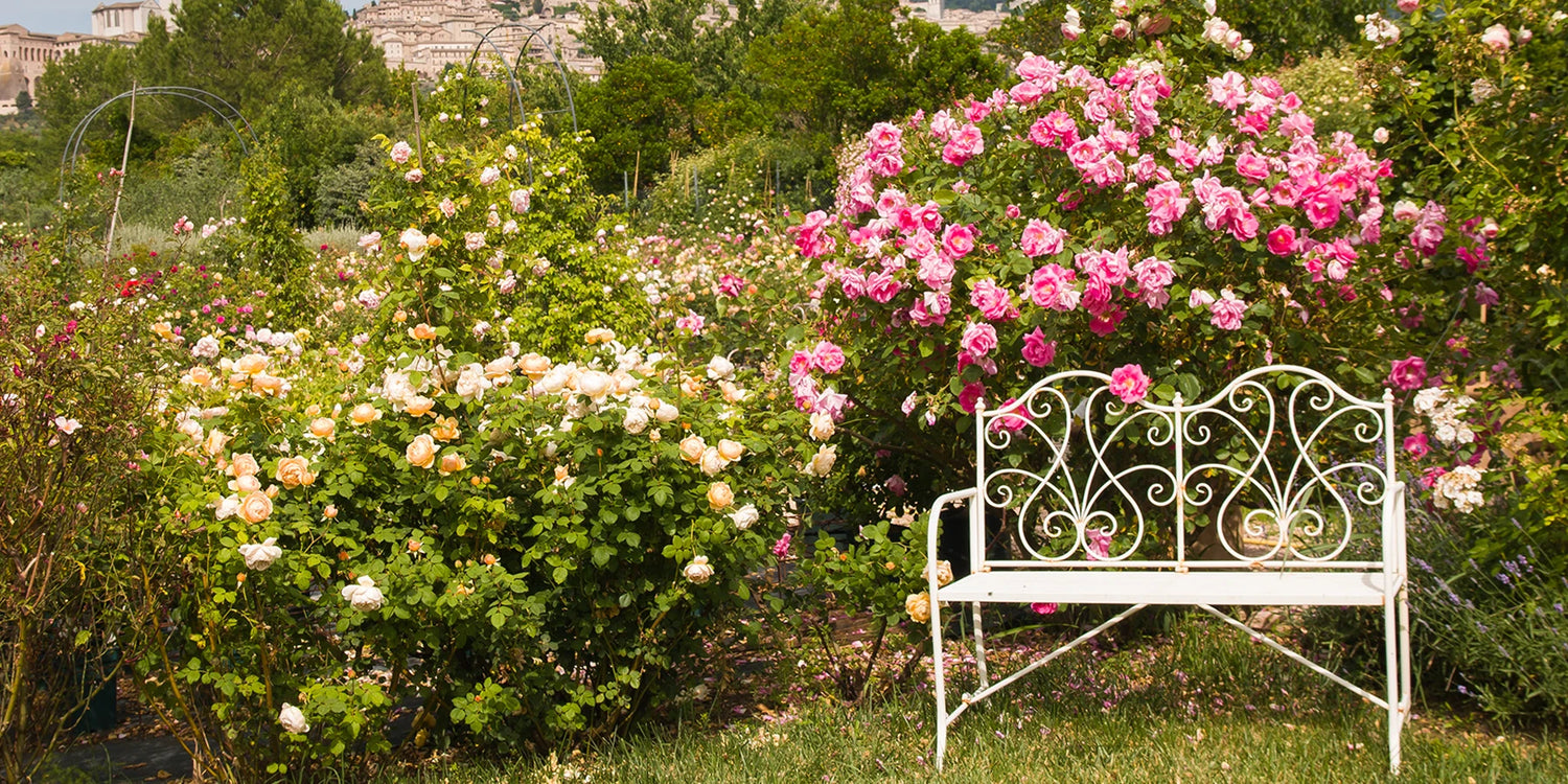 Le charme intemporel d'un jardin romantique !