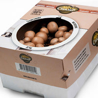 Kit de culture de champignons - 1x boite (7,5 litres) - Champignons - undefined