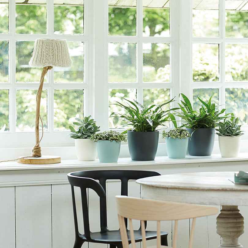 Vente Elho Pot Brussels rond blanc