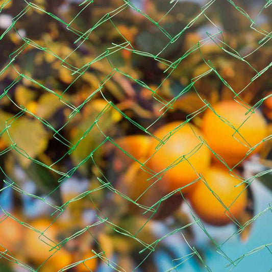 Filet de protection oiseaux - Bakker