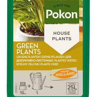 Engrais pour plantes d'intérieur vertes 250 ml - Pokon - Engrais