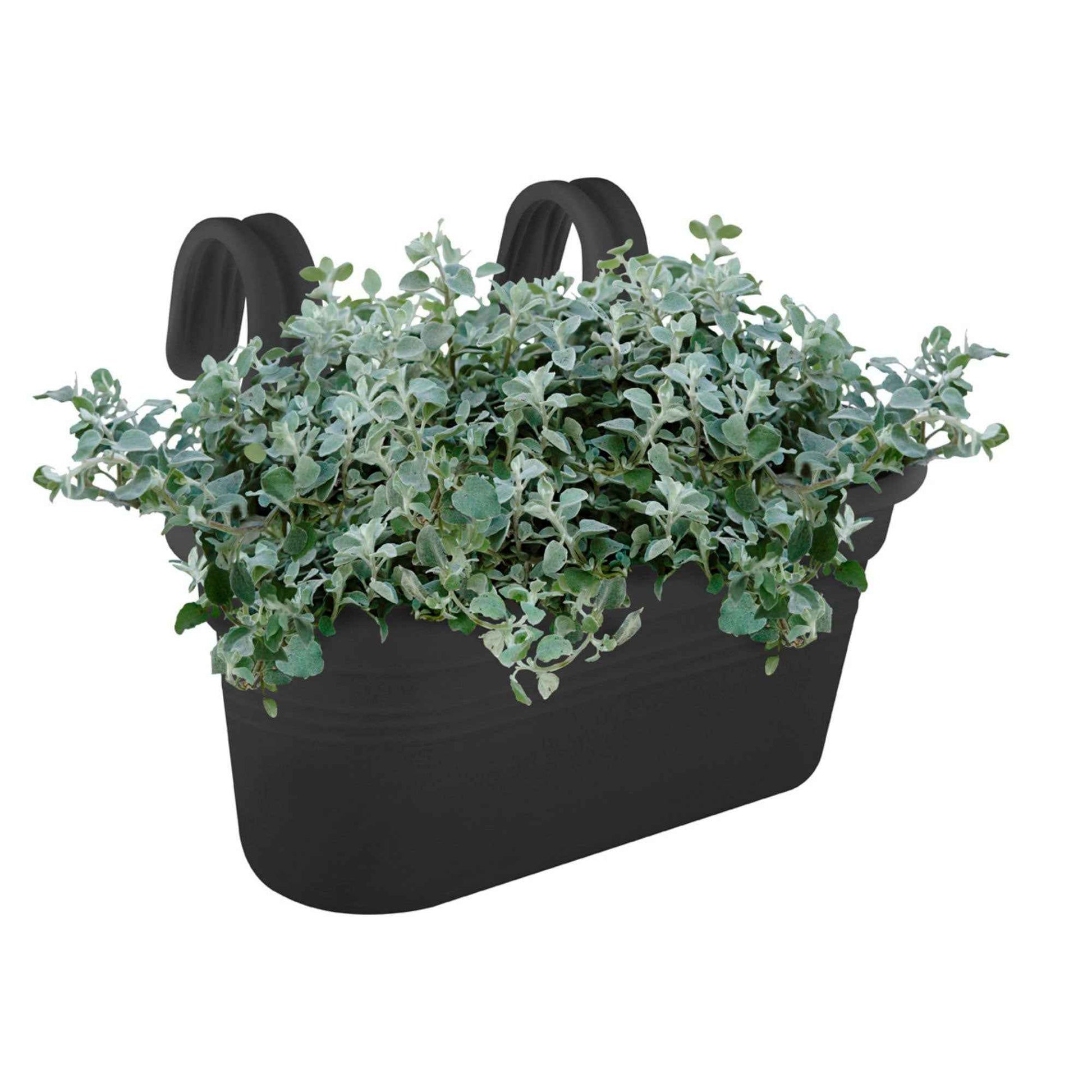 Elho jardinière Green basics easy hanger large ovale noir - Grands pots de fleurs