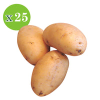 25x Pomme de terre Solanum 'Nicola' - Graines de Légumes
