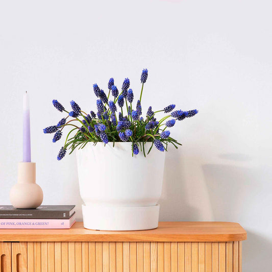 Pot de fleurs Elho Greenville blanc - Bakker