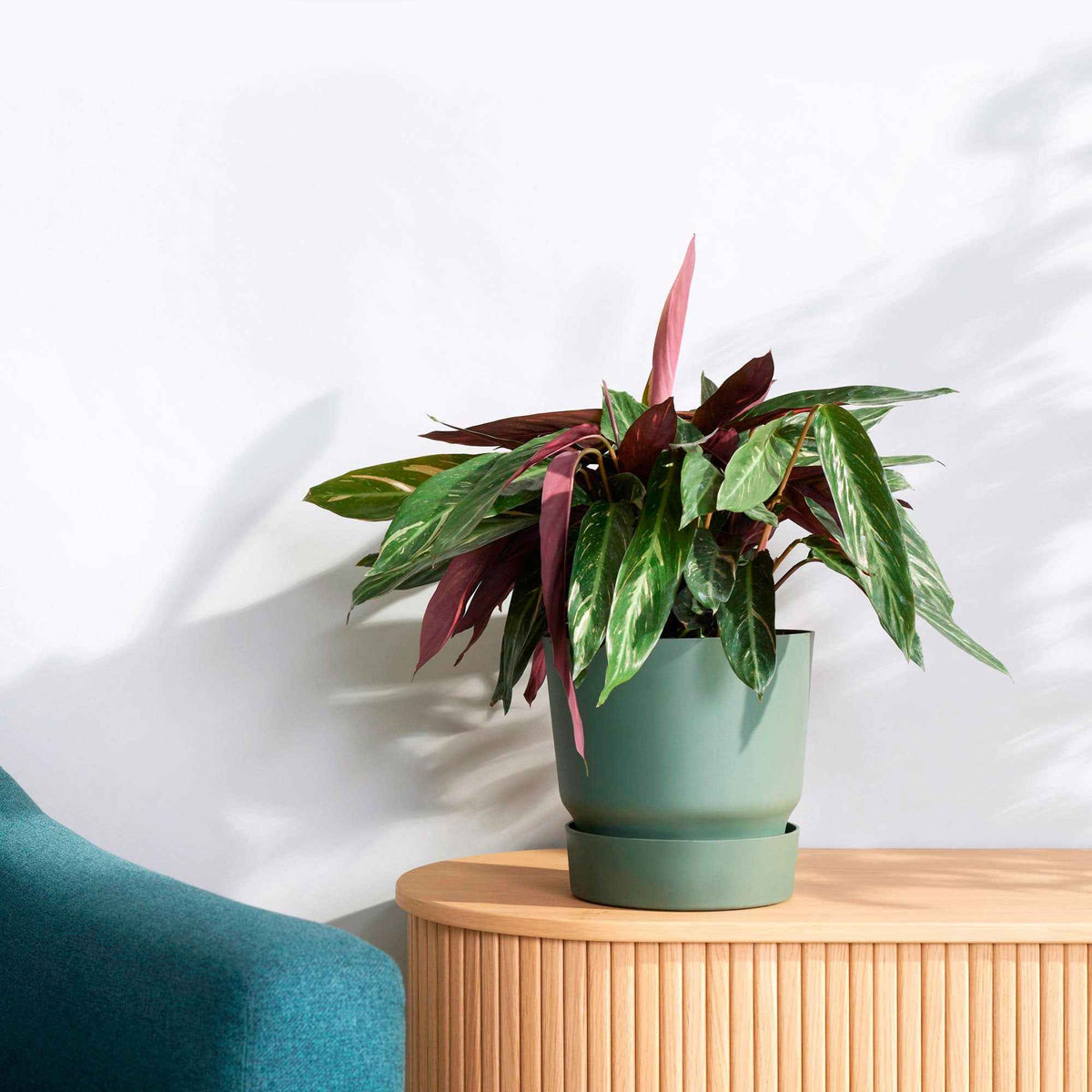 Pot de fleurs Elho Greenville vert - Bakker