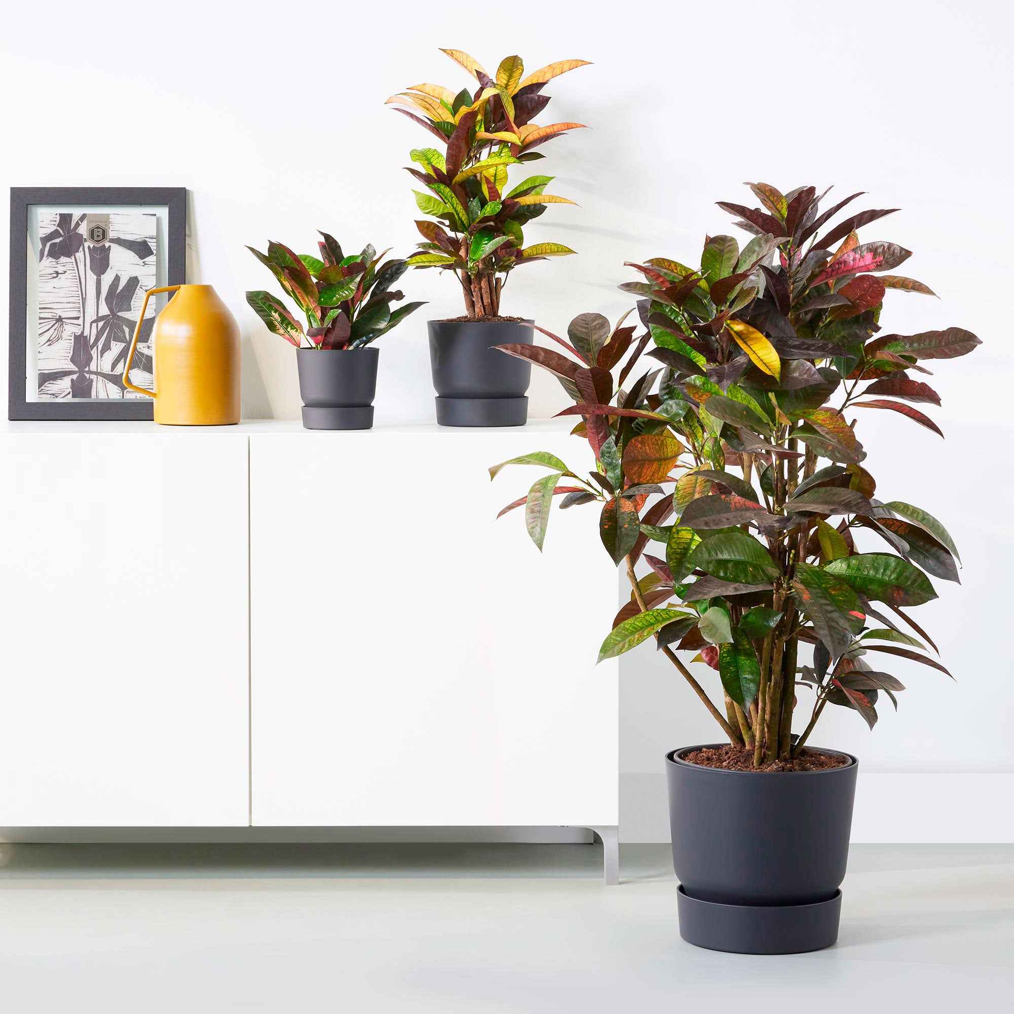 Pot De Fleurs Extérieur Elho Greenville Rond - Lot De 2, 30 Cm, Noir, Plastique Recyclé - 8