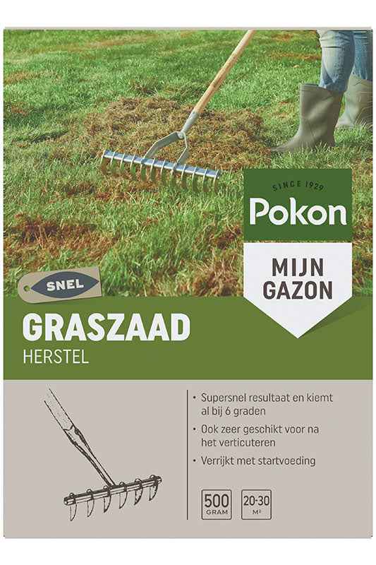 Pokon graines de gazon pour regarnissage - Bakker