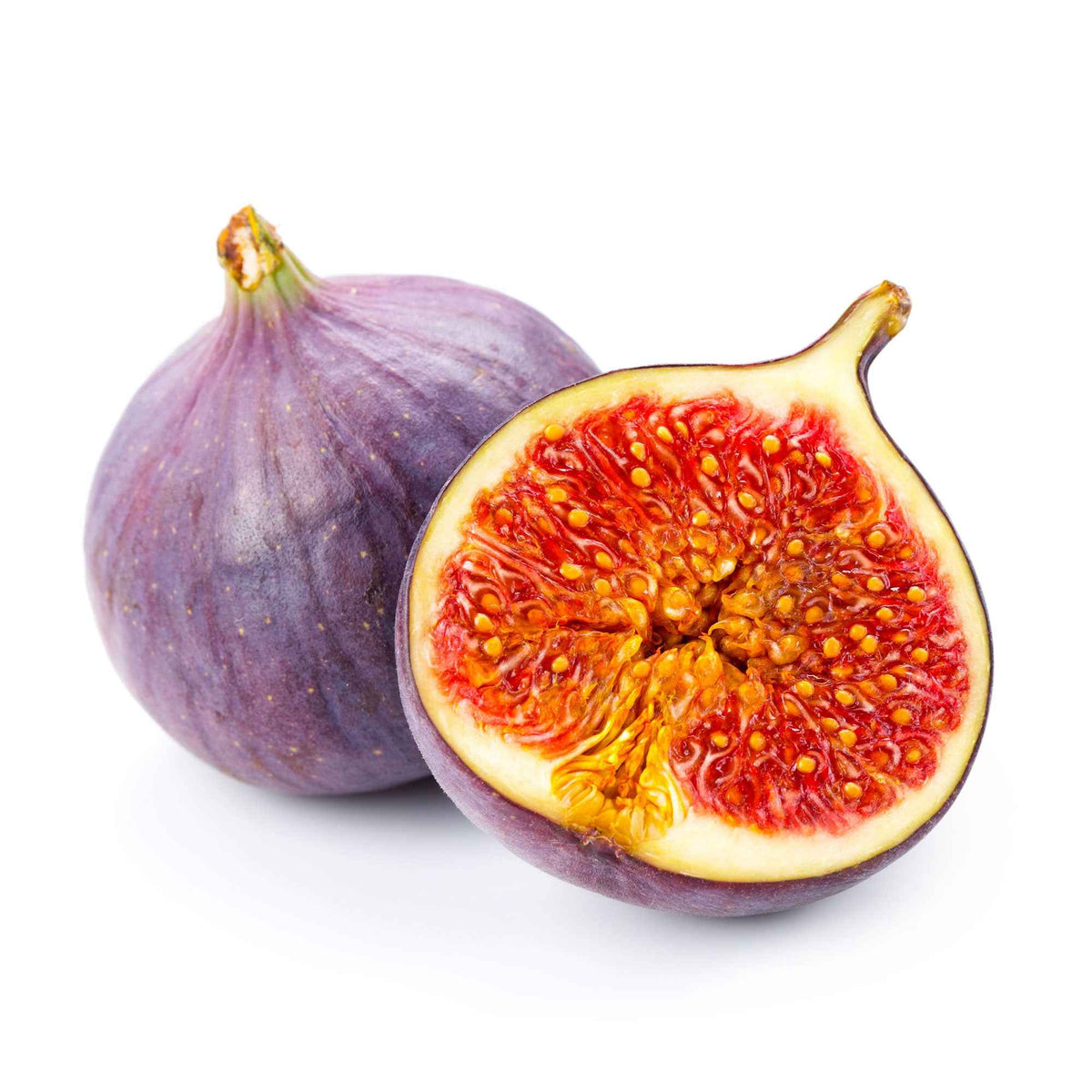 Figuier Ficus carica 'Perretta' - vert-marron - Ficus carica Gustissimo Perretta - Bakker