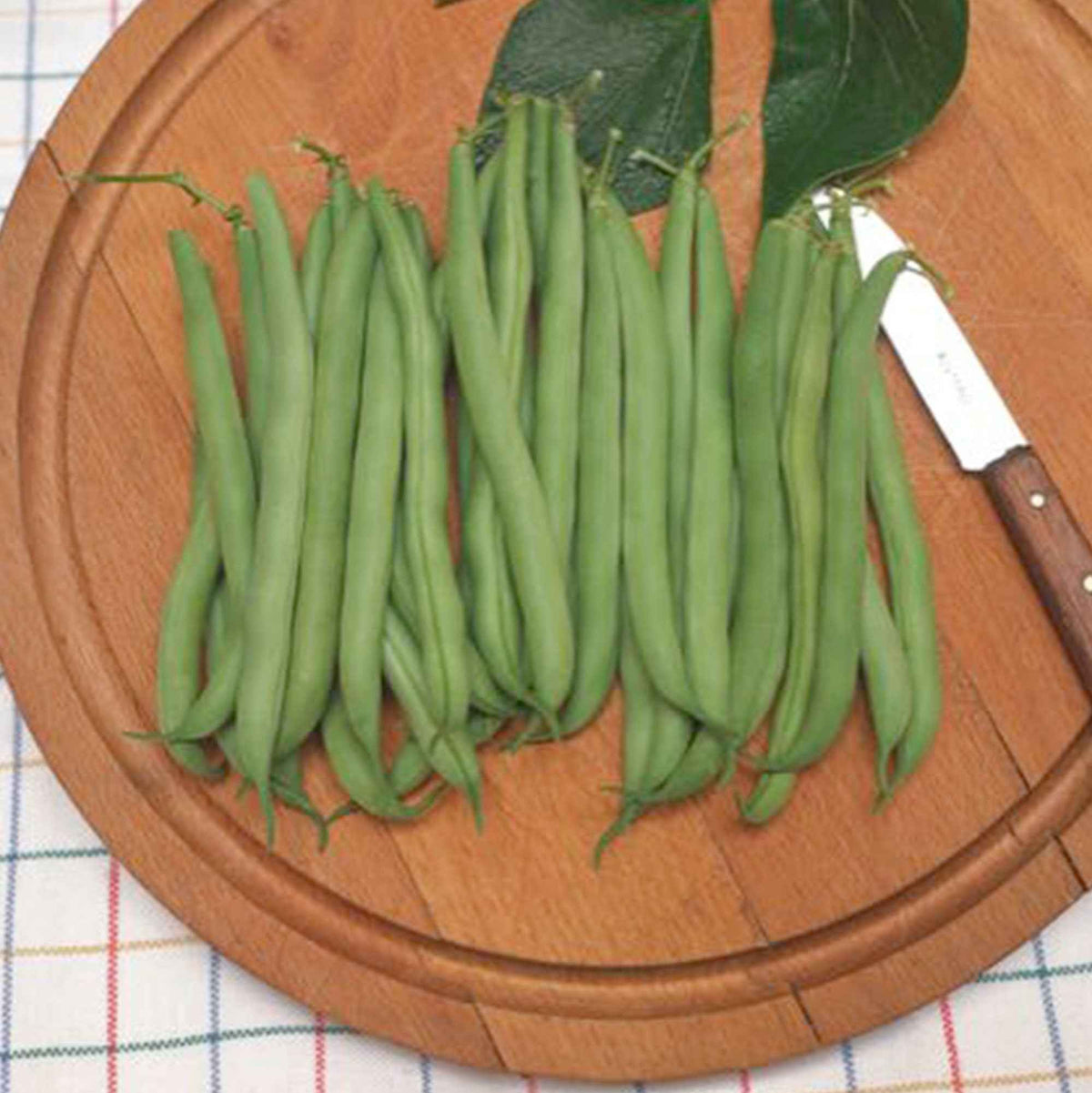 Haricot nain mangetout Prélude - Phaseolus vulgaris prelude - Bakker