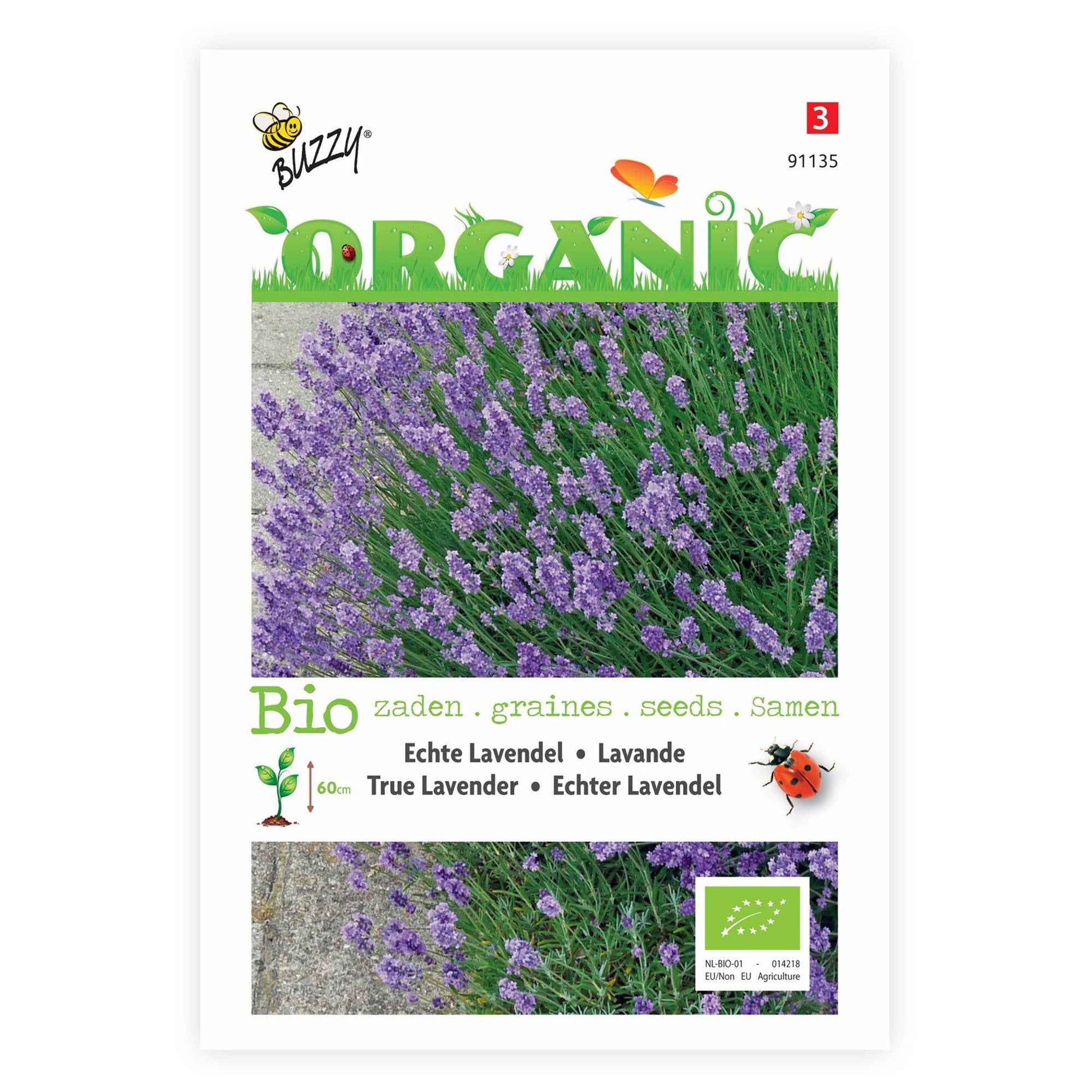 Lavande Lavandula angustifolia - Biologique violet 4 m² - Semences d’herbes - Graines