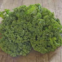 Chou frisé Brassica 'Westlandse Winter' - Semences de légumes - Caractéristiques des plantes
