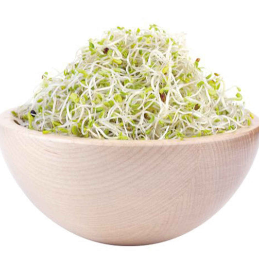 Faites poussez vos herbes aromatiques en pot! – Bakker.com