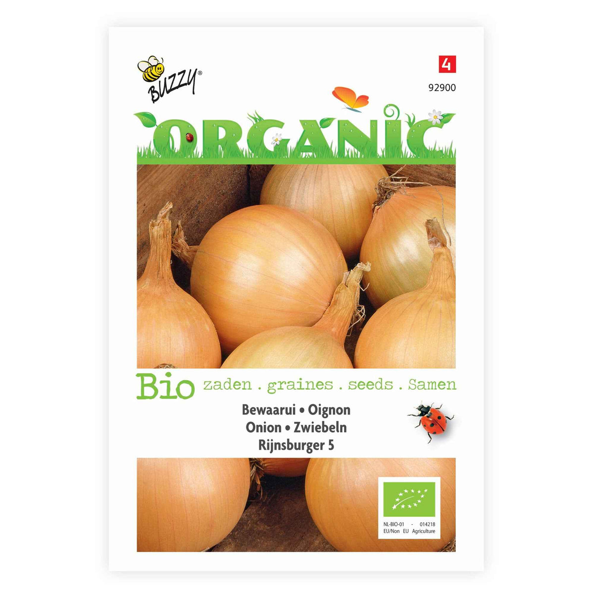 Oignon jaune 'Rijnsburger 5' - Allium cepa rijnsburger 5 - Bakker
