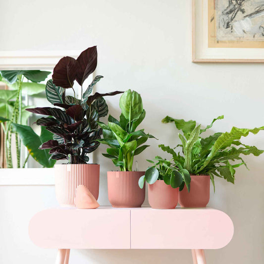 Pot de fleurs Elho Vibes Fold rose - Bakker