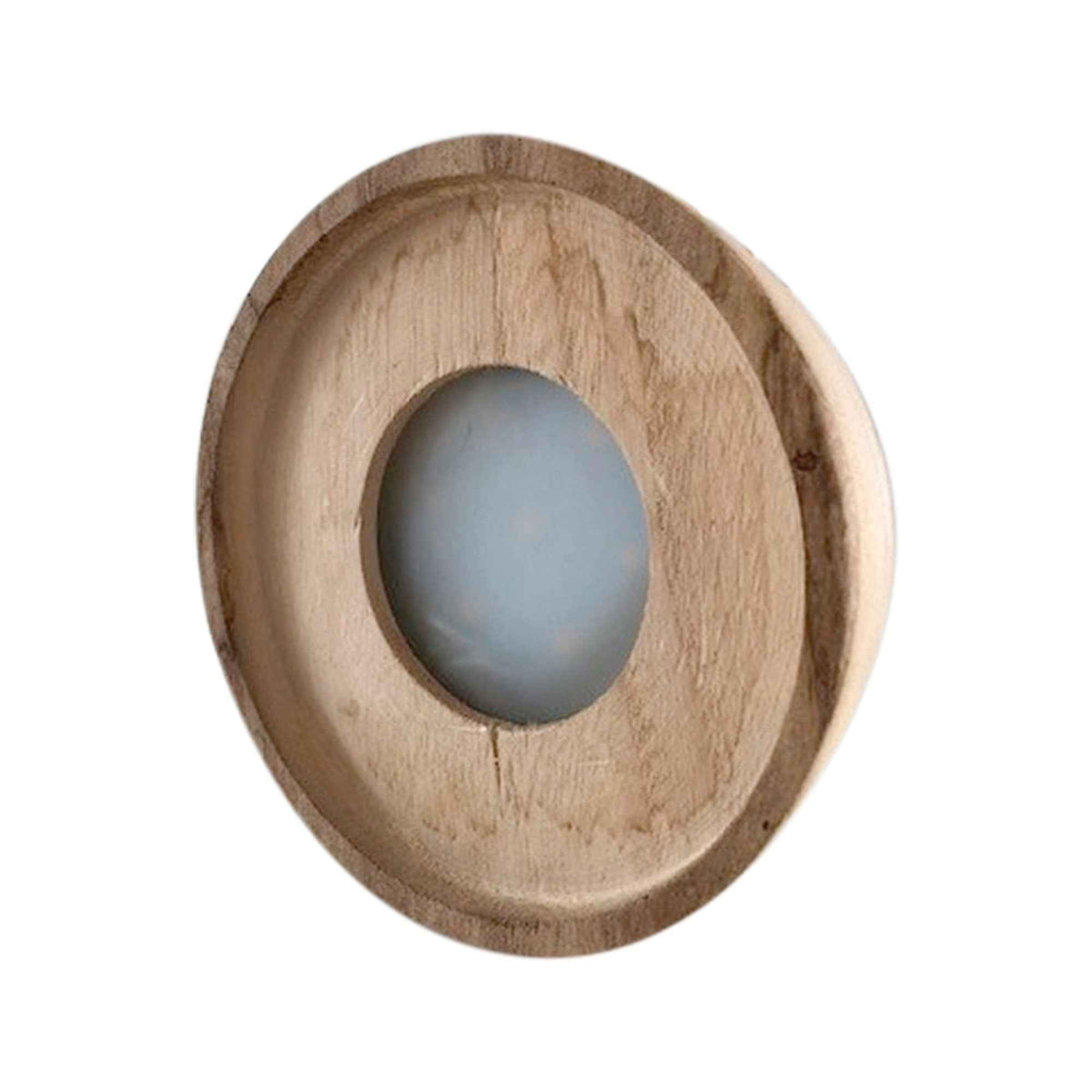 Vente Clusia Met et son ampoule vase avec LED - Clusia
