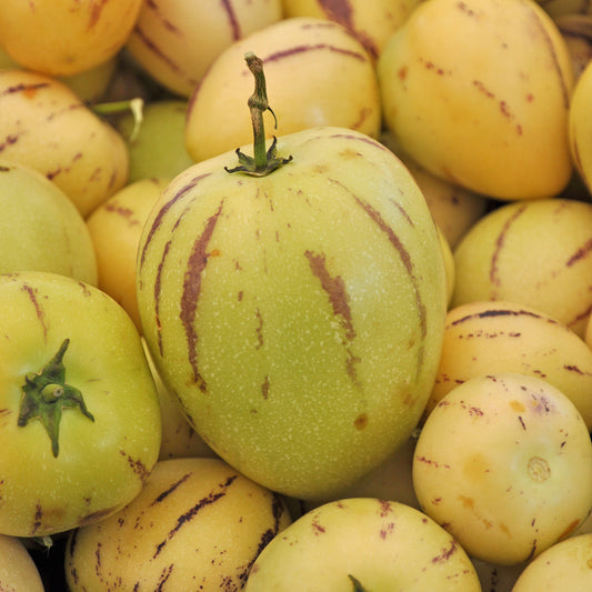 Poire-melon