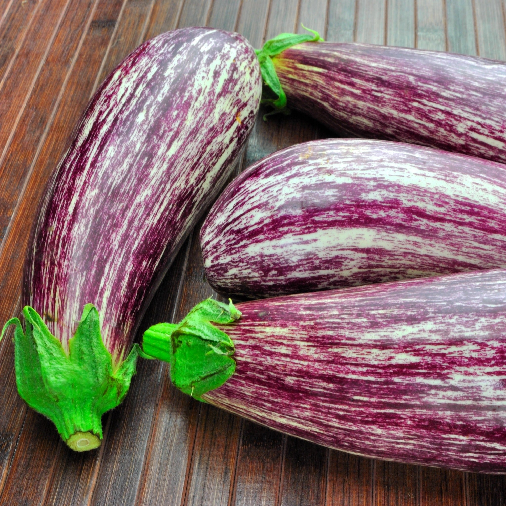 Graines D'Aubergine De Gandie - Semillas Batlle - Pour Potager - Variété Résistante