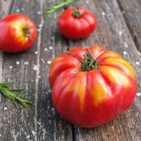 Tomate à très gros fruits Marmande