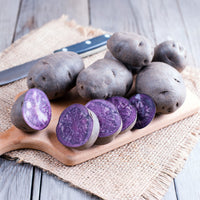 Solanum tuberosum bleue d'artois ® (bleue de la man - 10 Pommes de terre Bleue d'Artois ® - Bleue de la Manche - Plants de pommes de terre