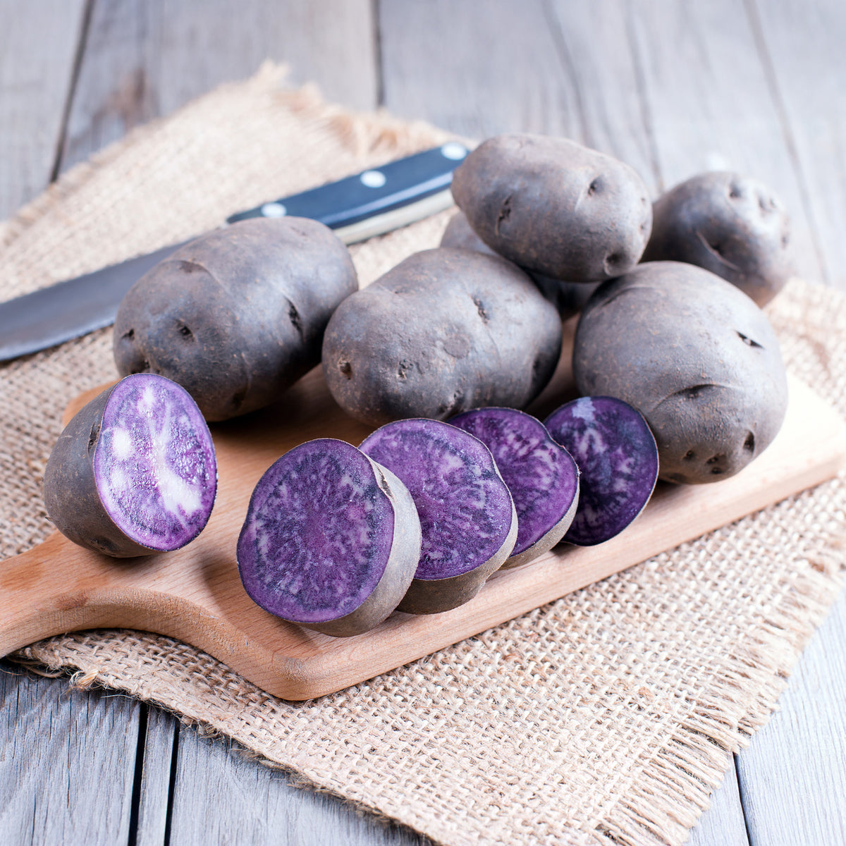 Solanum tuberosum bleue d'artois ® (bleue de la man - 10 Pommes de terre Bleue d'Artois ® - Bleue de la Manche - Plants de pommes de terre