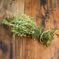 Sarriette commune Bio - Satureja hortensis - Bakker