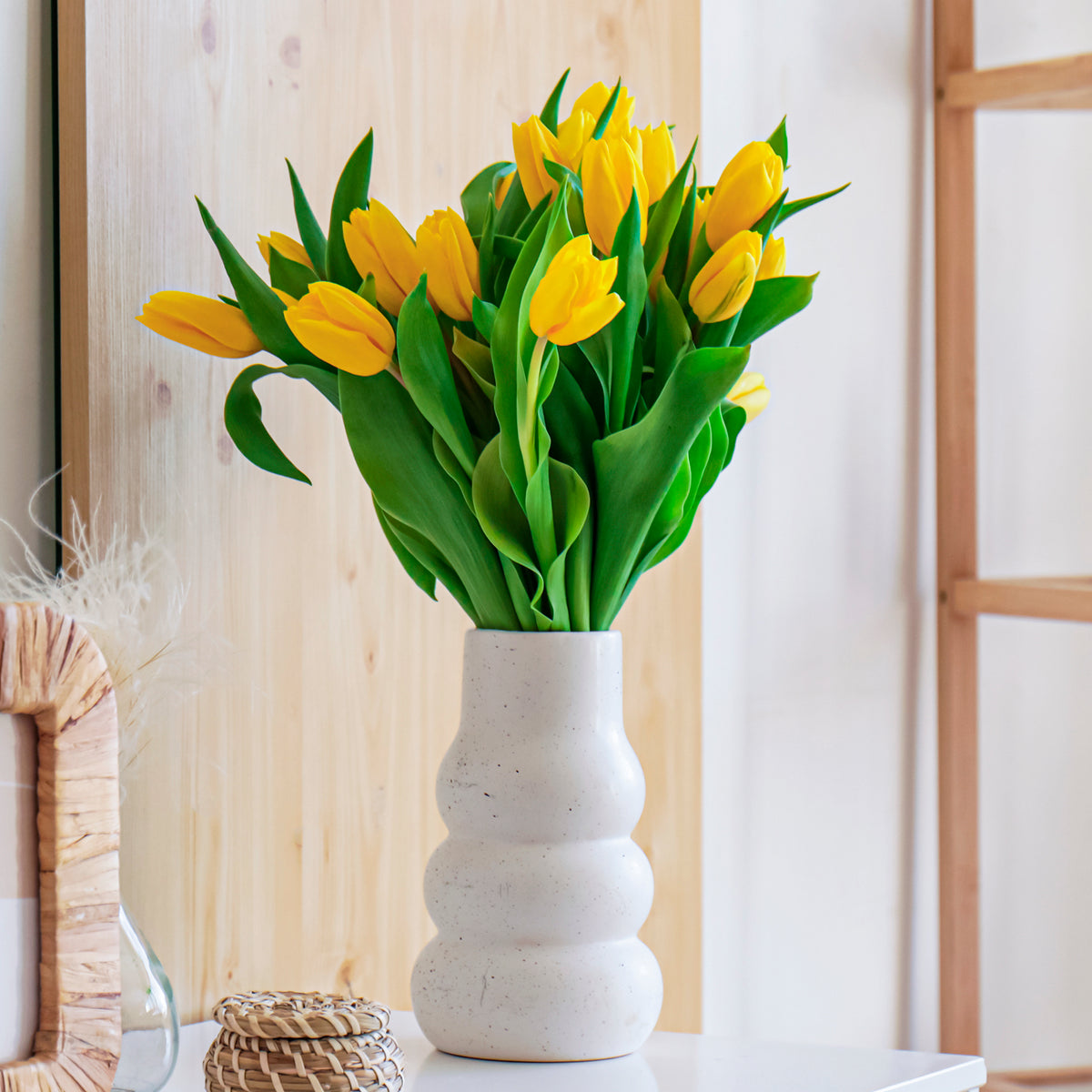 Bulbes de Tulipe - 5 Tulipes longues tiges jaunes - Tulipa