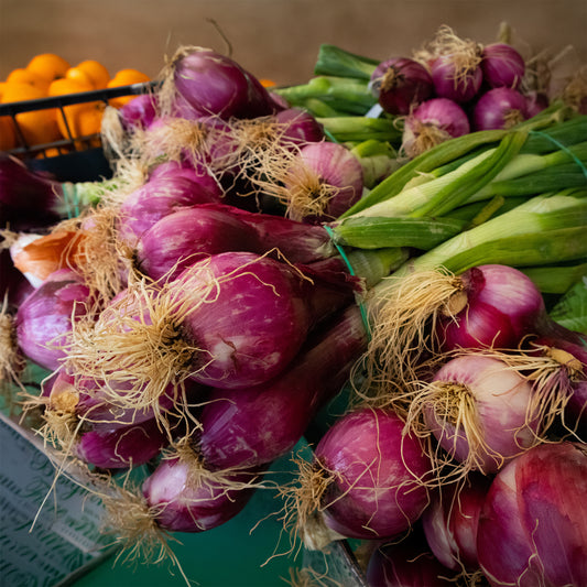 Oignon Rouge Apache - Bakker