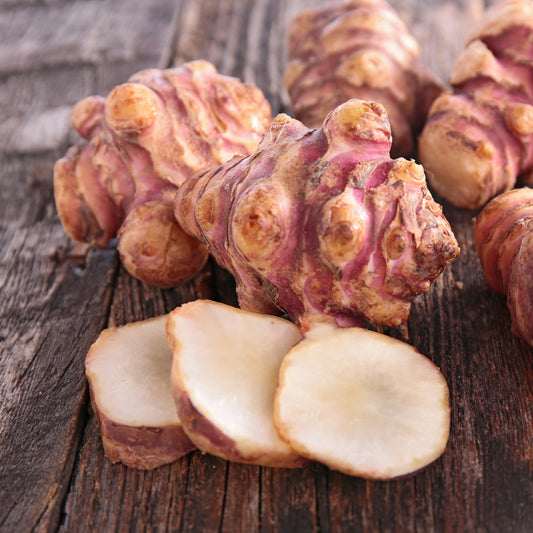 5 Topinambours Violets - Bakker