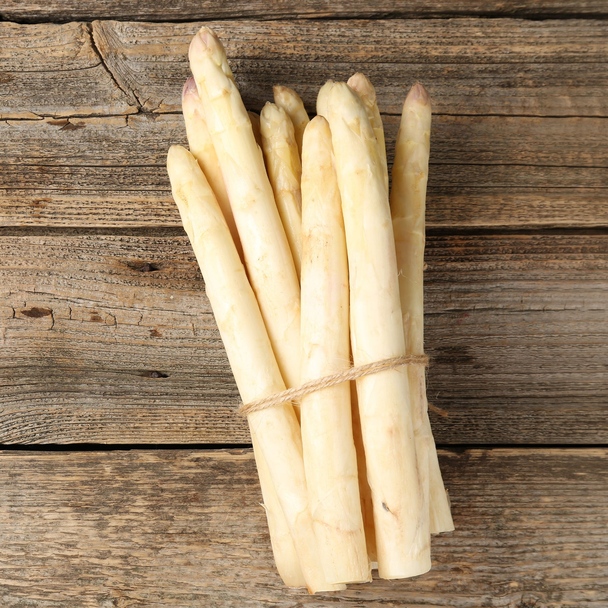 10 Asperges Argenteuil - Bakker
