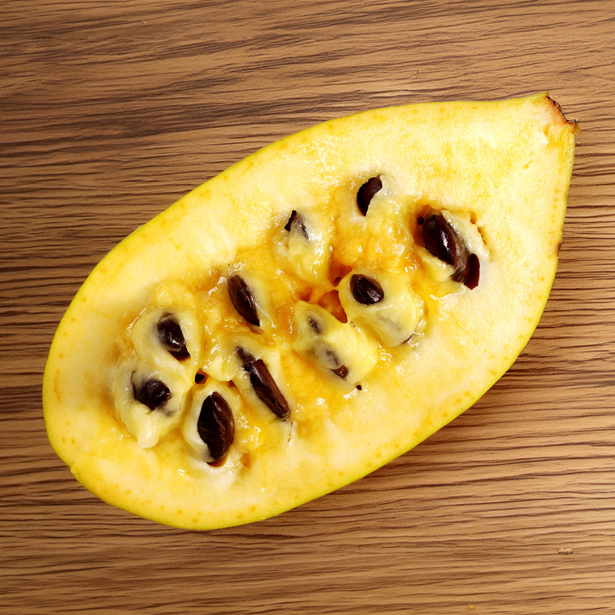 Vente  - Asimina Triloba Prima