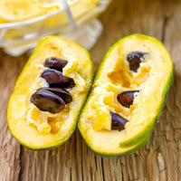 Fruitiers exotiques - Asiminier - Pawpaw - Asimina triloba