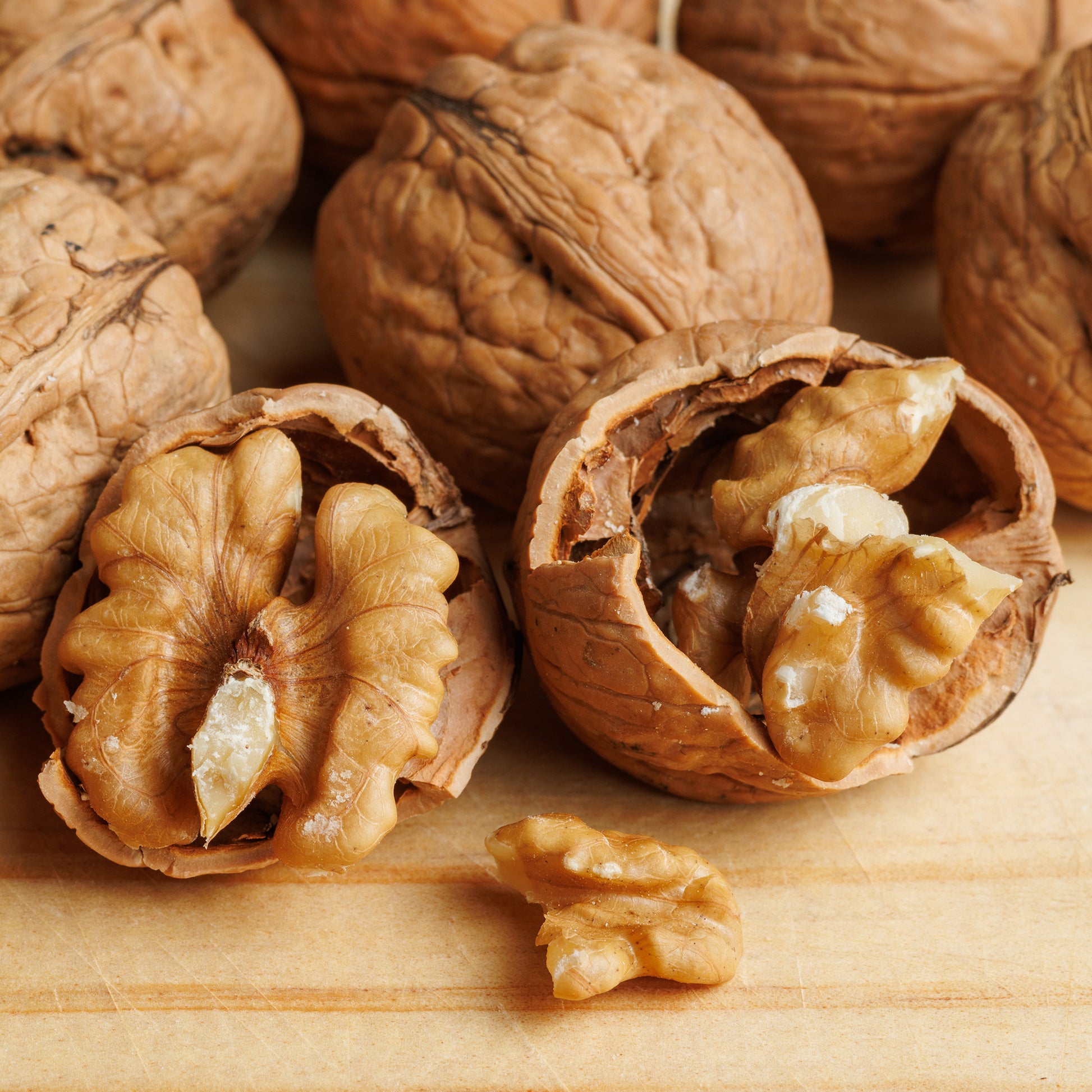 Vente Noyer commun Buccaneer