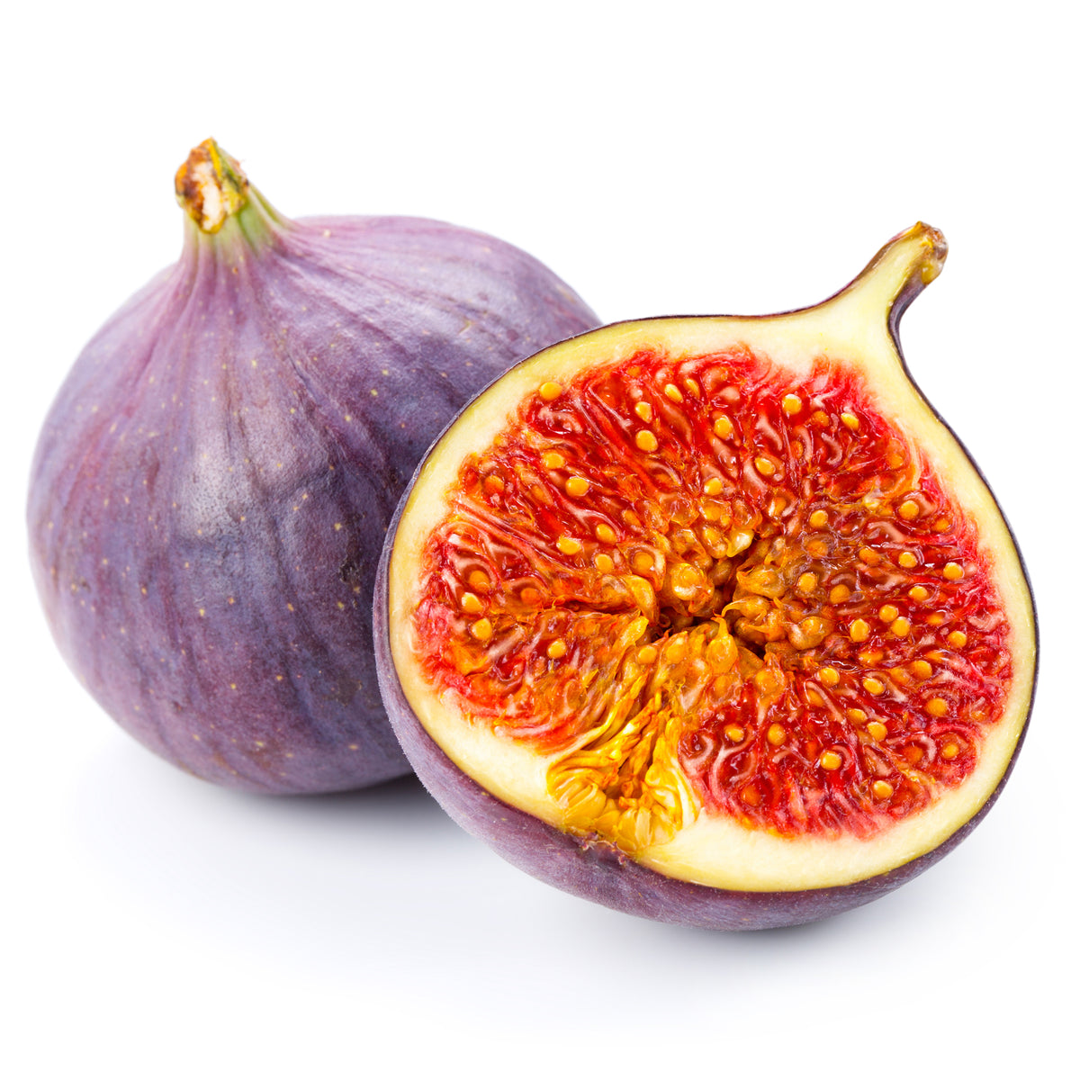 Figuier Ficus carica 'Perretta' - vert-marron