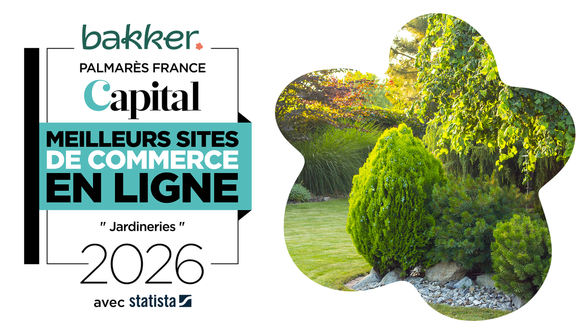 Banniere-meilleurs-sites-bakker-2026-2.png__PID:d0823a22-5f8e-4e41-9394-069608221a3a