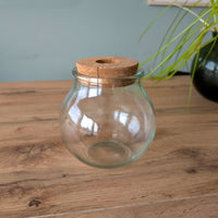  - Hydro ampoule P15 - Compositions de plantes d'intérieur