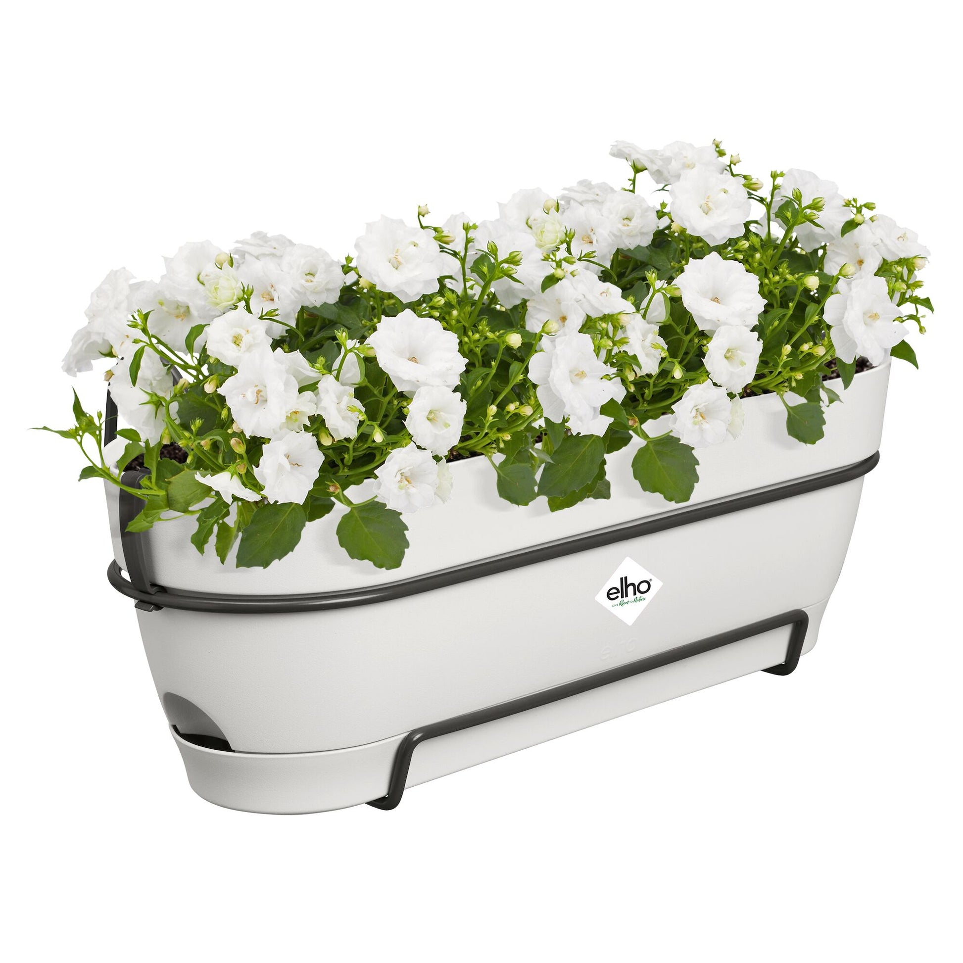 Pots de fleurs par genre - Balconière vibia campana blanc ELHO - 