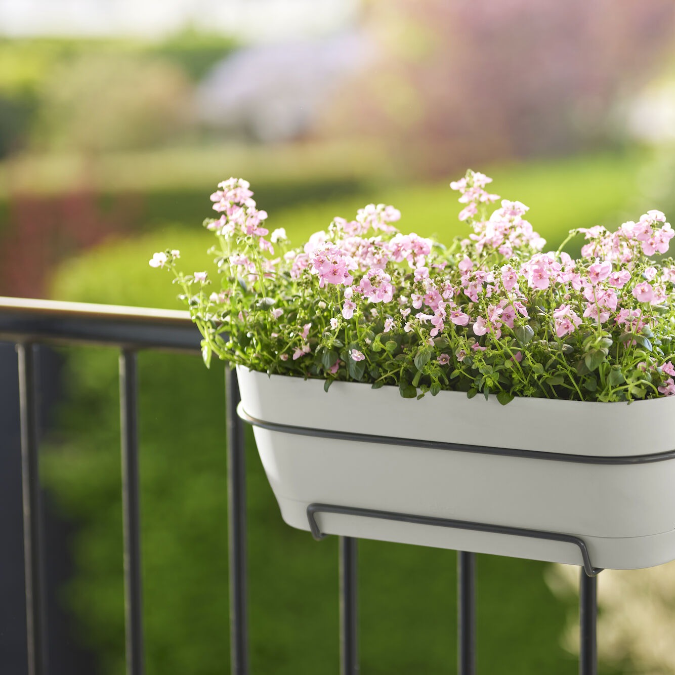 Balconière vibia campana blanc ELHO -  - Bakker