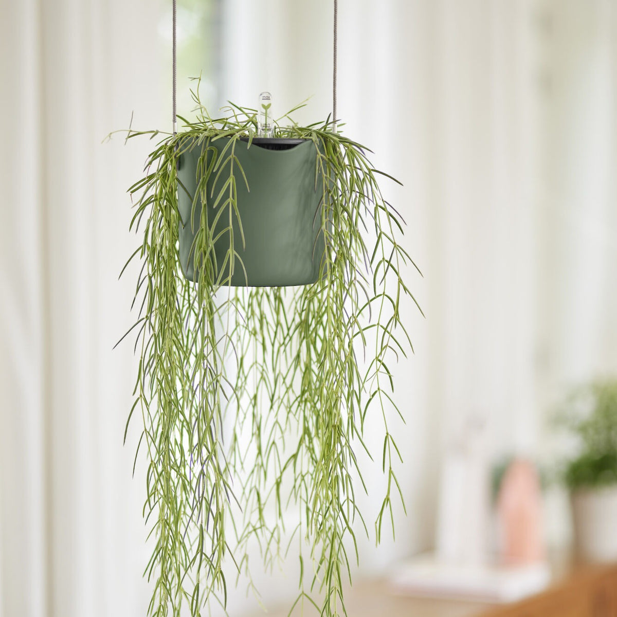 Vente Suspension B for swing vert ELHO - Pots suspendus
