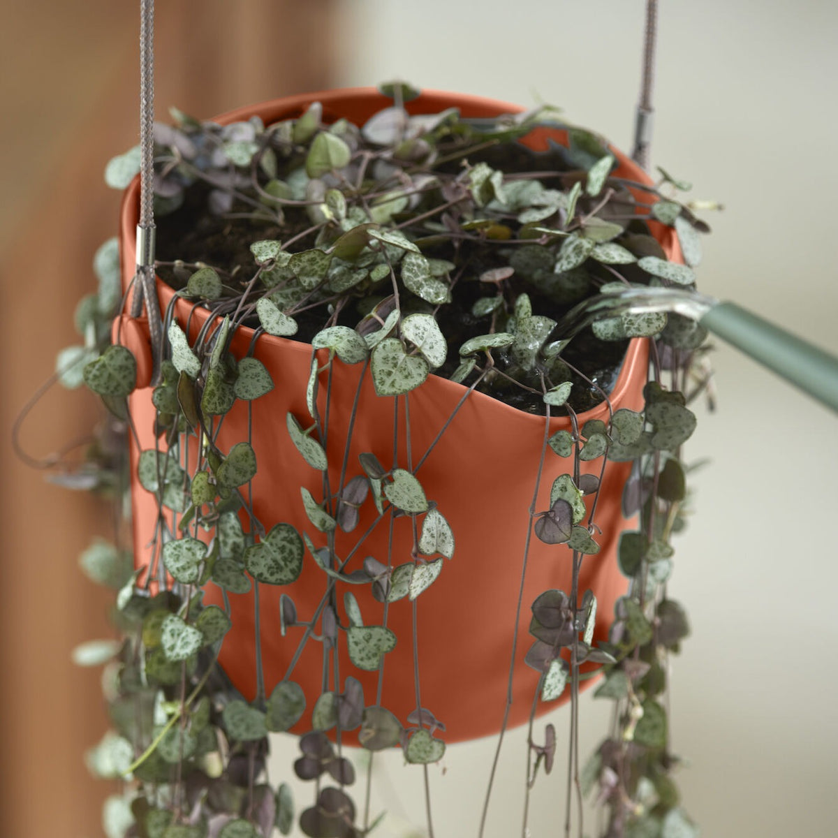 Suspension B for swing terracotta ELHO - Pots suspendus - Bakker