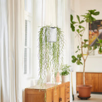 Suspension B for swing blanc ELHO - Pots d'intérieur et cache-pots - Bakker
