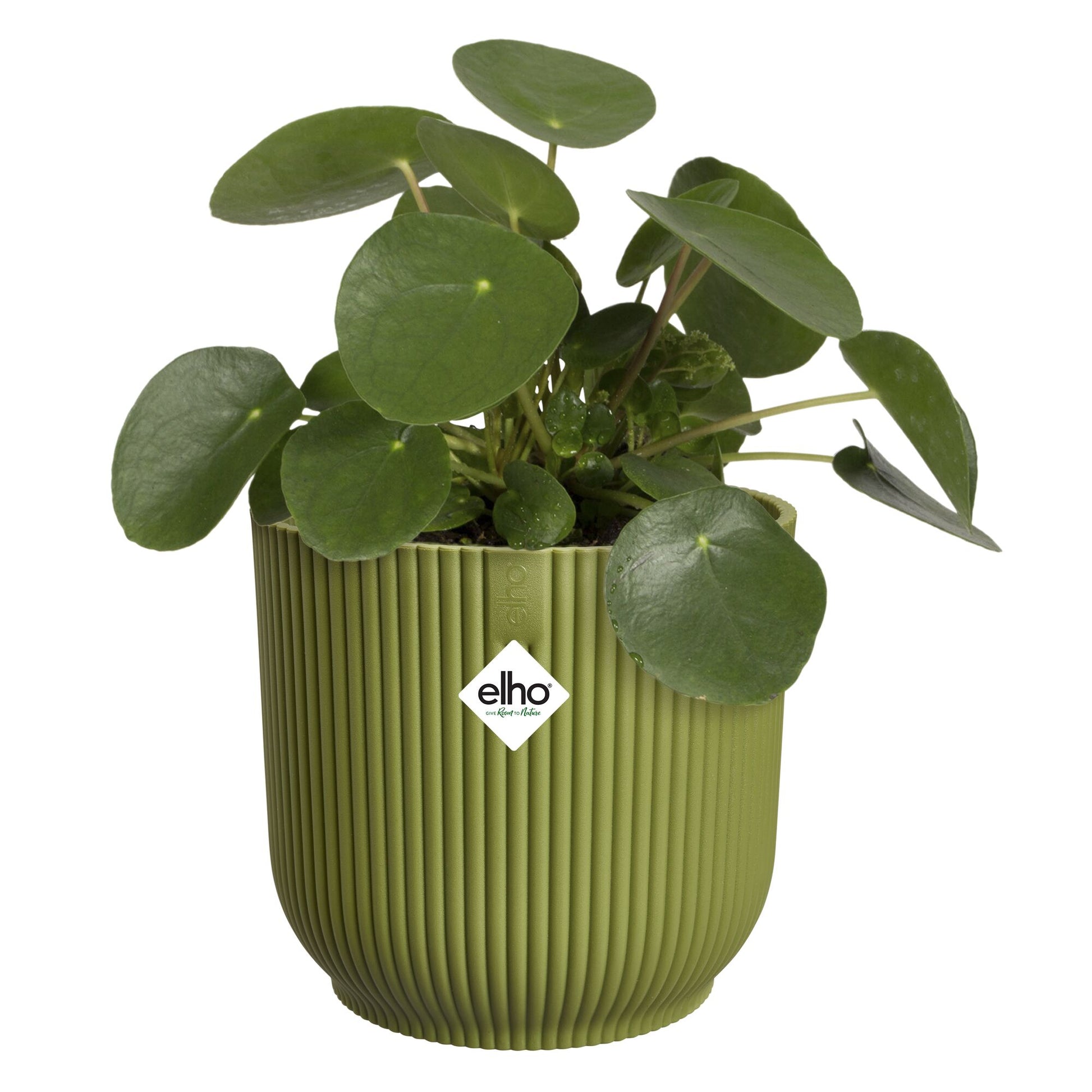 Cache-Pot Vibes fold rond Vert fougère ELHO -  - Bakker