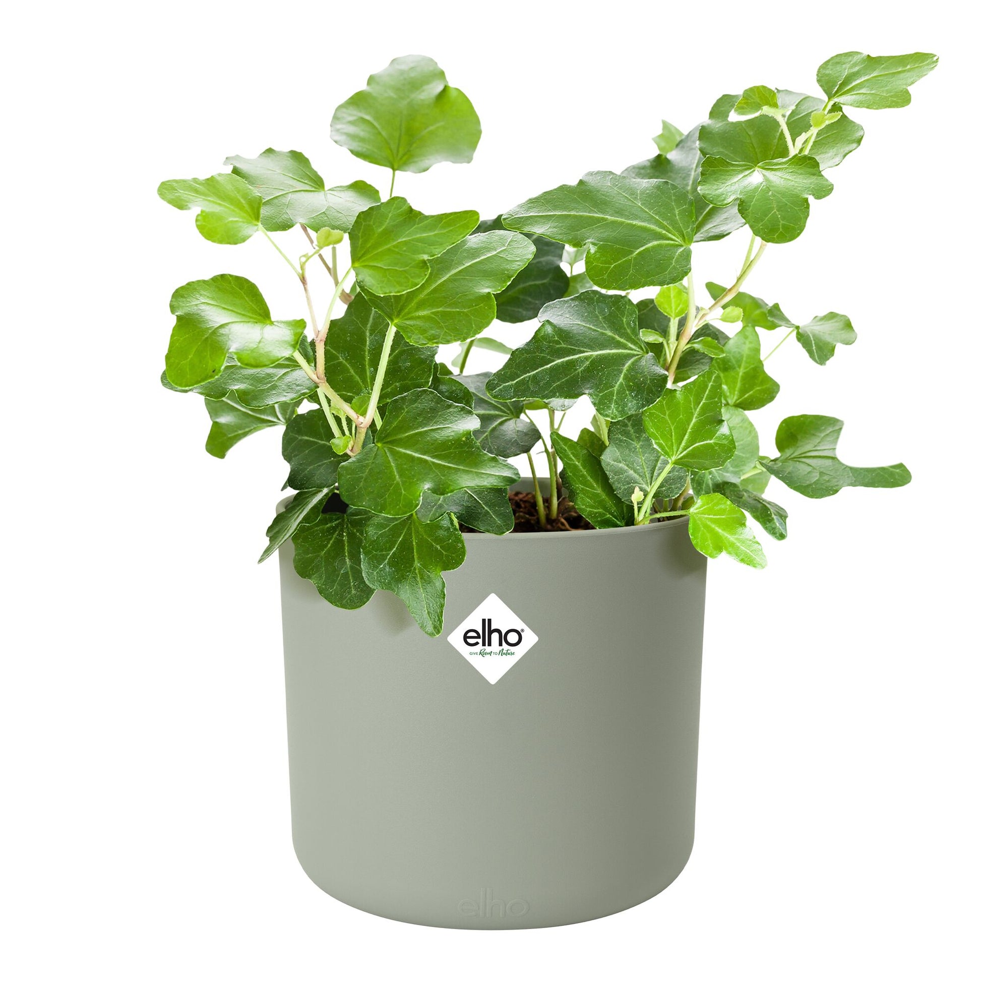 Cache-Pot Soft rond Vert pierre ELHO -  - Bakker